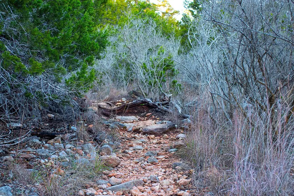 Pedernales Falls State Park